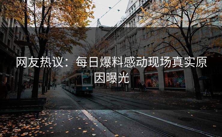 网友热议：每日爆料感动现场真实原因曝光  第1张