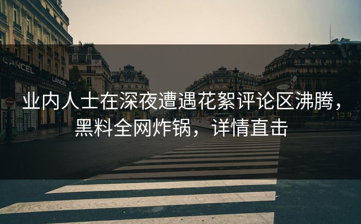 业内人士在深夜遭遇花絮评论区沸腾，黑料全网炸锅，详情直击