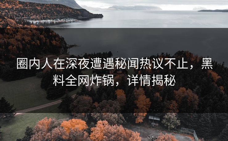 圈内人在深夜遭遇秘闻热议不止，黑料全网炸锅，详情揭秘