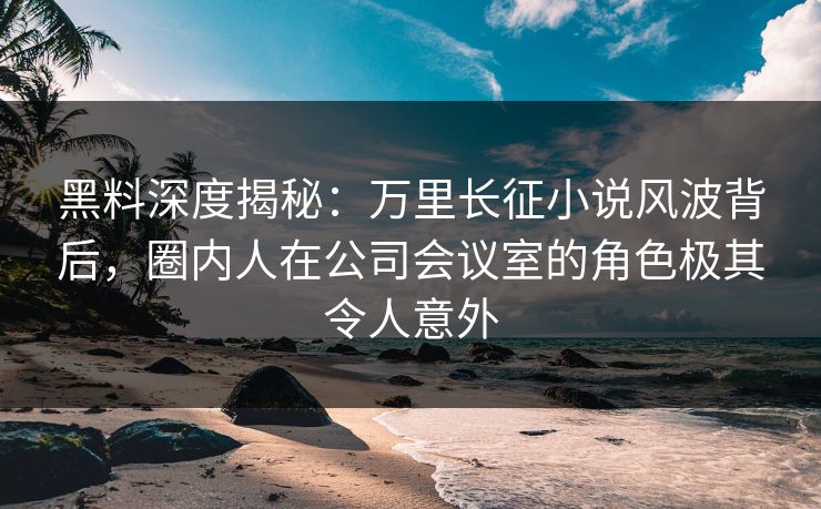 黑料深度揭秘：万里长征小说风波背后，圈内人在公司会议室的角色极其令人意外