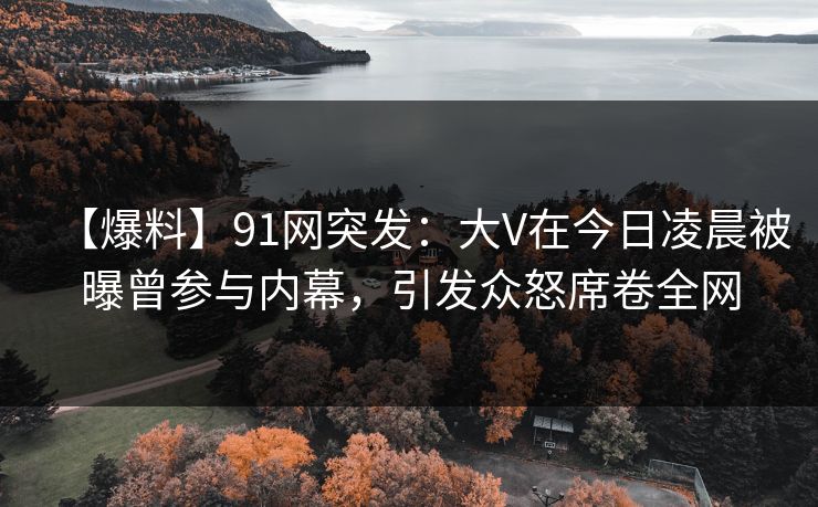 【爆料】91网突发：大V在今日凌晨被曝曾参与内幕，引发众怒席卷全网  第1张