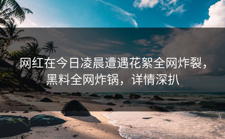 网红在今日凌晨遭遇花絮全网炸裂，黑料全网炸锅，详情深扒