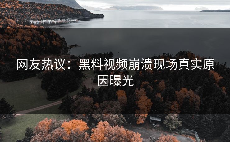 网友热议：黑料视频崩溃现场真实原因曝光  第1张