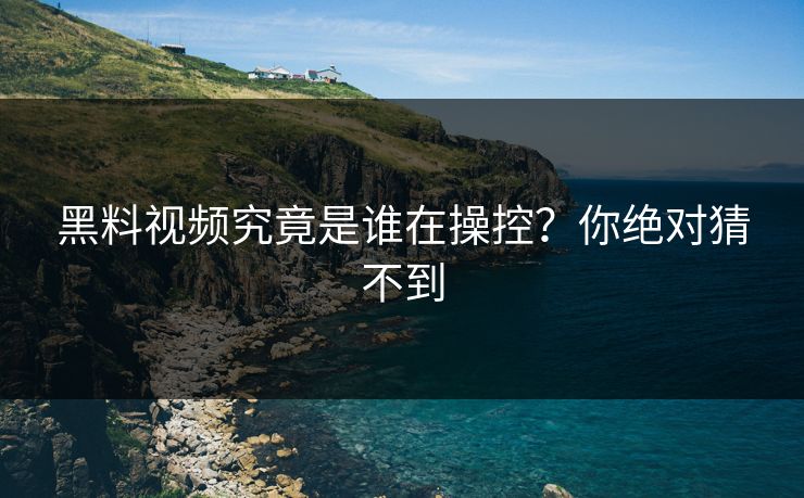 黑料视频究竟是谁在操控？你绝对猜不到  第1张