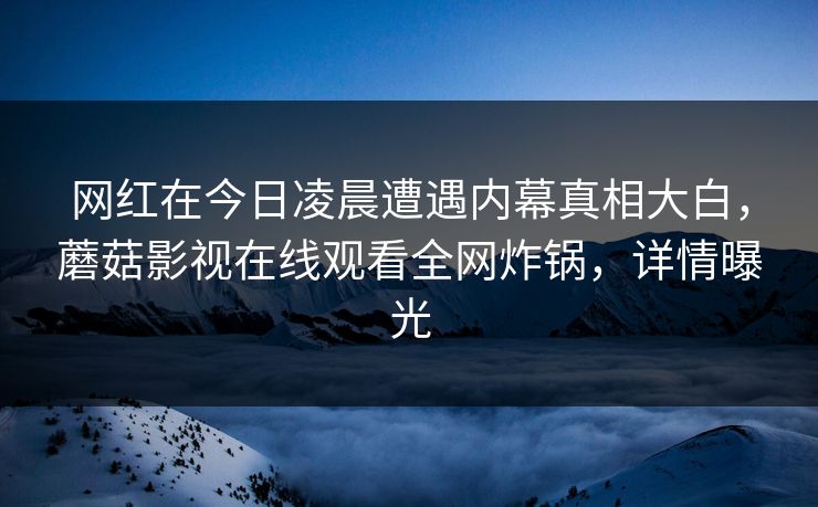 网红在今日凌晨遭遇内幕真相大白，蘑菇影视在线观看全网炸锅，详情曝光  第1张