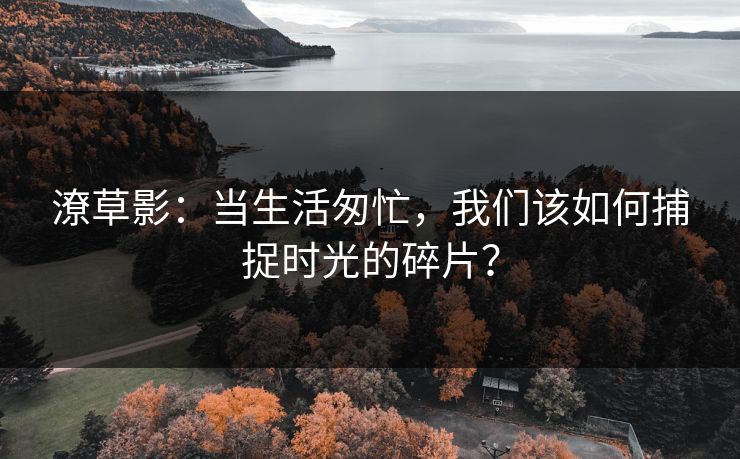潦草影：当生活匆忙，我们该如何捕捉时光的碎片？